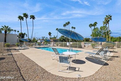 COMMUNITY POOL