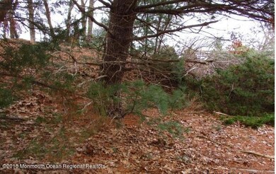 13A Juniper Ln, Whiting, NJ 08759 - photo 6