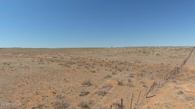 3750 S Prickly Pear Wash, Williams, AZ 86046 - photo 7