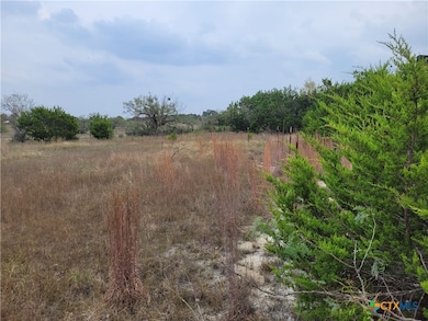 1145 County Road 4006, Lampasas, TX 76550 - photo 6