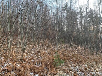 133 Coons Dr, Charlestown, NH 03603 - photo 5