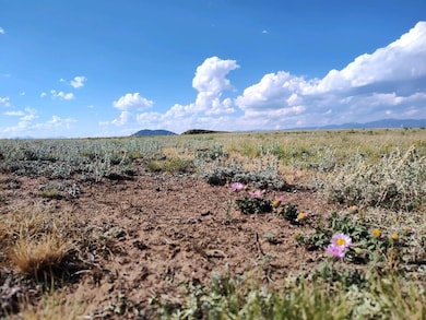 0 Mockingbird Ln, Hartsel, CO 80449 - photo 2