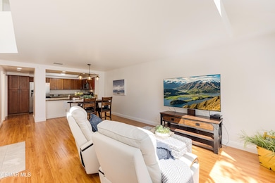 Light-filled Living Room