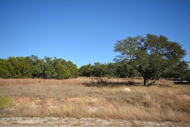 121 S Jesse Stiff, Blanco, TX 78606 - photo 2