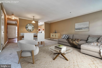 4906 Lockard Dr, Owings Mills, MD 21117 - photo 6