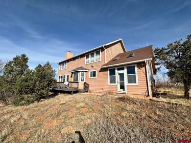 33350 Colorado 184, Mancos, CO 81328 - photo 5