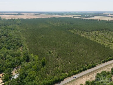 2 Bud Diamond Rd, Jay, FL 32565 - photo 5