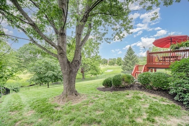Rear Yard