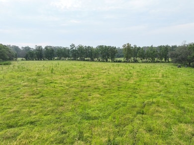 0 Hwy 16 unit LotWP001 24297163, Amite, LA 70422 - photo 6