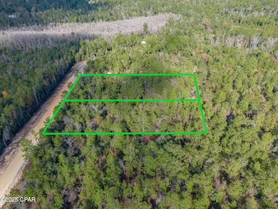 0000 Alene Dr, Alford, FL 32420 - photo 4