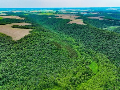 Rooster Valley Rd, Spring Grove, MN 55974 - photo 6