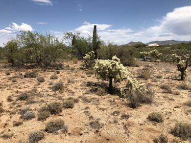 Natural Desert