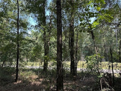 Danner Dr, Wilmer, AL 36587 - photo 3