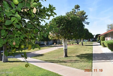 14018 N Newcastle Dr unit 15C, Sun City, AZ 85351 - photo 6