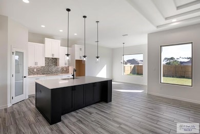 517 N Park Place Dr, Weslaco, TX 78599 - photo 5