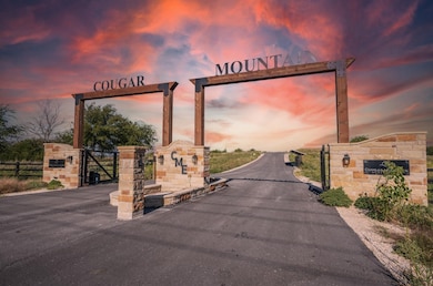 2516 Tom Chaney Dr, Cresson, TX 76035 - photo 2