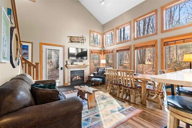 2561 Disciples Ct unit 6 Door 660, Boyne Falls, MI 49713 - photo 5