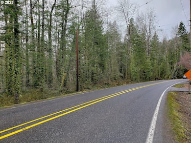 0 E Barlow Trail Rd unit 369670884, Brightwood, OR 97011 - photo 3