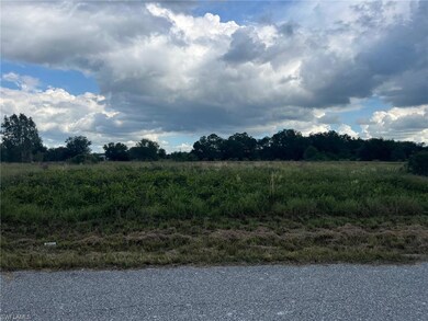 1710 Jackson Ave, Lehigh Acres, FL 33972 - photo 4