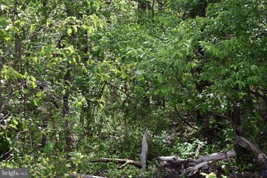 0 Maple Ridge unit MDWA179556, Hancock, MD 21750 - photo 6