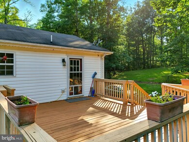 19303 Frazier Rd, Culpeper, VA 22701 - photo 5