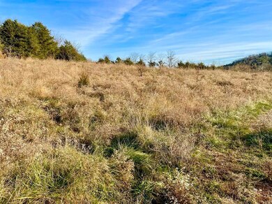 231 Highway 1003, Somerset, KY 42501 - photo 3