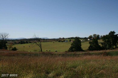 16 Ashbourne Ln, Rixeyville, VA 22737 - photo 7