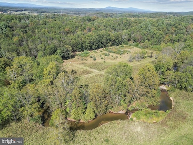 220 Chestnut Grove Rd, Winchester, VA 22603 - photo 4