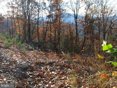 0 Brenwood unit 1000137653, Stanley, VA 22851 - photo 4