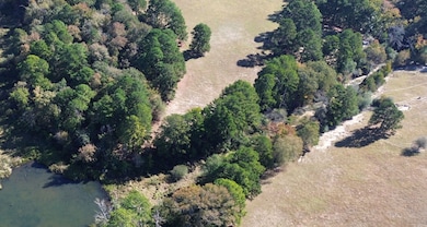 511 Private Road 6142, Grapeland, TX 75844 - photo 2