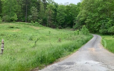 Additional View