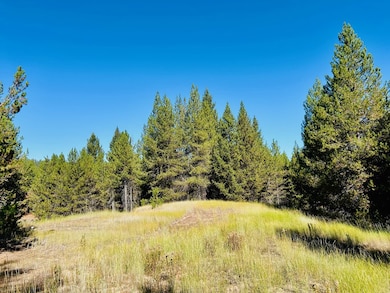 Lot 40 Challis Ln unit 40, Cascade, ID 83611 - photo 6