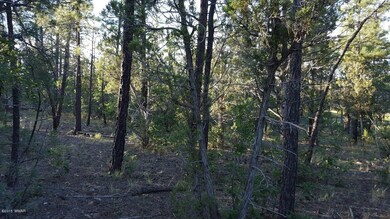 20150910_172353_resized