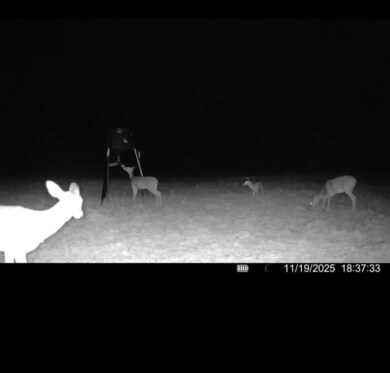 0 Richardson Rd unit 25-3971, Amory, MS 38821 - photo 4