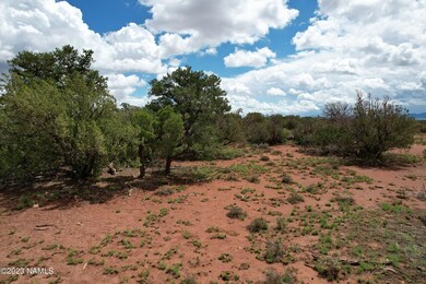 DJI_0546
