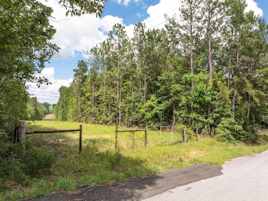 1.5 acres J Barnes Rd, Purvis, MS 39475 - photo 2