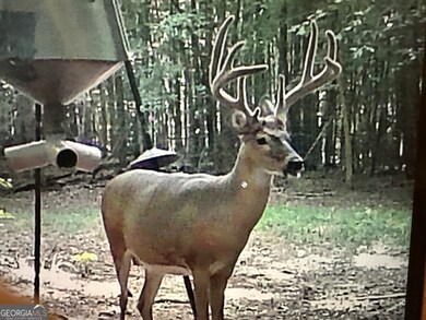 1070 Cedar Grove Dr, Buckhead, GA 30625 - photo 7