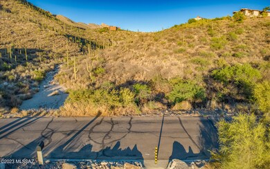 7582 N Camino Sin Vacas unit 65, Catalina Foothills, AZ 85718 - photo 3
