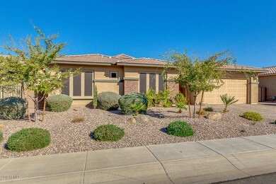 03-Saddlebrook