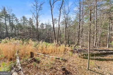 1361 Soque Ridge Cir, Demorest, GA 30535 - photo 4