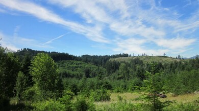 1892 King Rd, Winlock, WA 98596 - photo 6