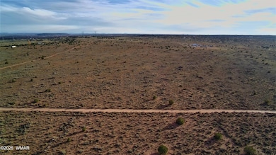 8694 Kasias Trail, Snowflake, AZ 85937 - photo 6