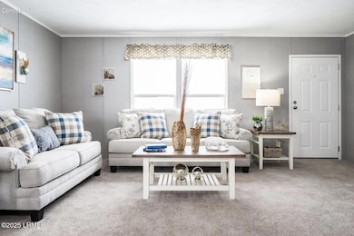 246 Proctor St, Ridgeland, SC 29936 - photo 4