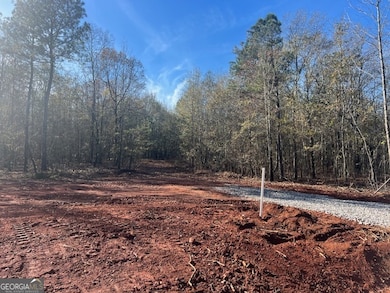 144 Berry Rd, Barnesville, GA 30204 - photo 3