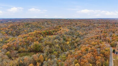 0 Vaughn Ln, Indian Mound, TN 37079 - photo 6