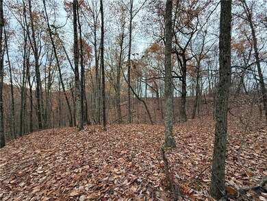 2400 Irish Ridge Rd, Philo, OH 43771 - photo 7