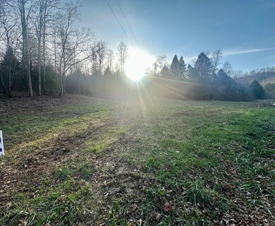 Lot 12 Hensley Rd, East Bernstadt, KY 40729 - photo 6
