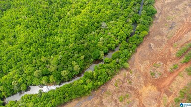 1432 Mardisville Rd, Talladega, AL 35160 - photo 6