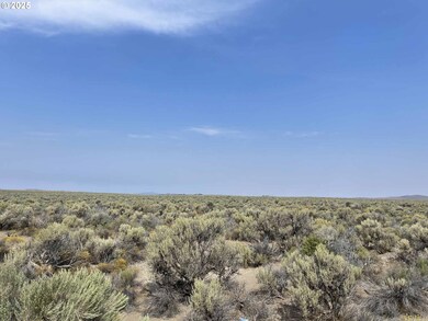 0 Off Rolfs Point Rd unit TL 4401 239674443, Christmas Valley, OR 97641 - photo 3