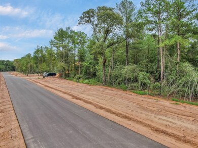 19853 Whispering Creek Trail, Magnolia, TX 77355 - photo 4